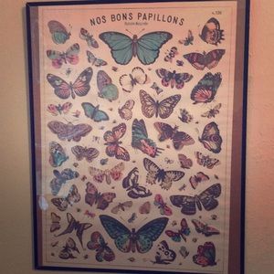 Butterfly print
